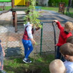 Zdjęcie przedstawia dzieci i prace nasadzeniowe drzew