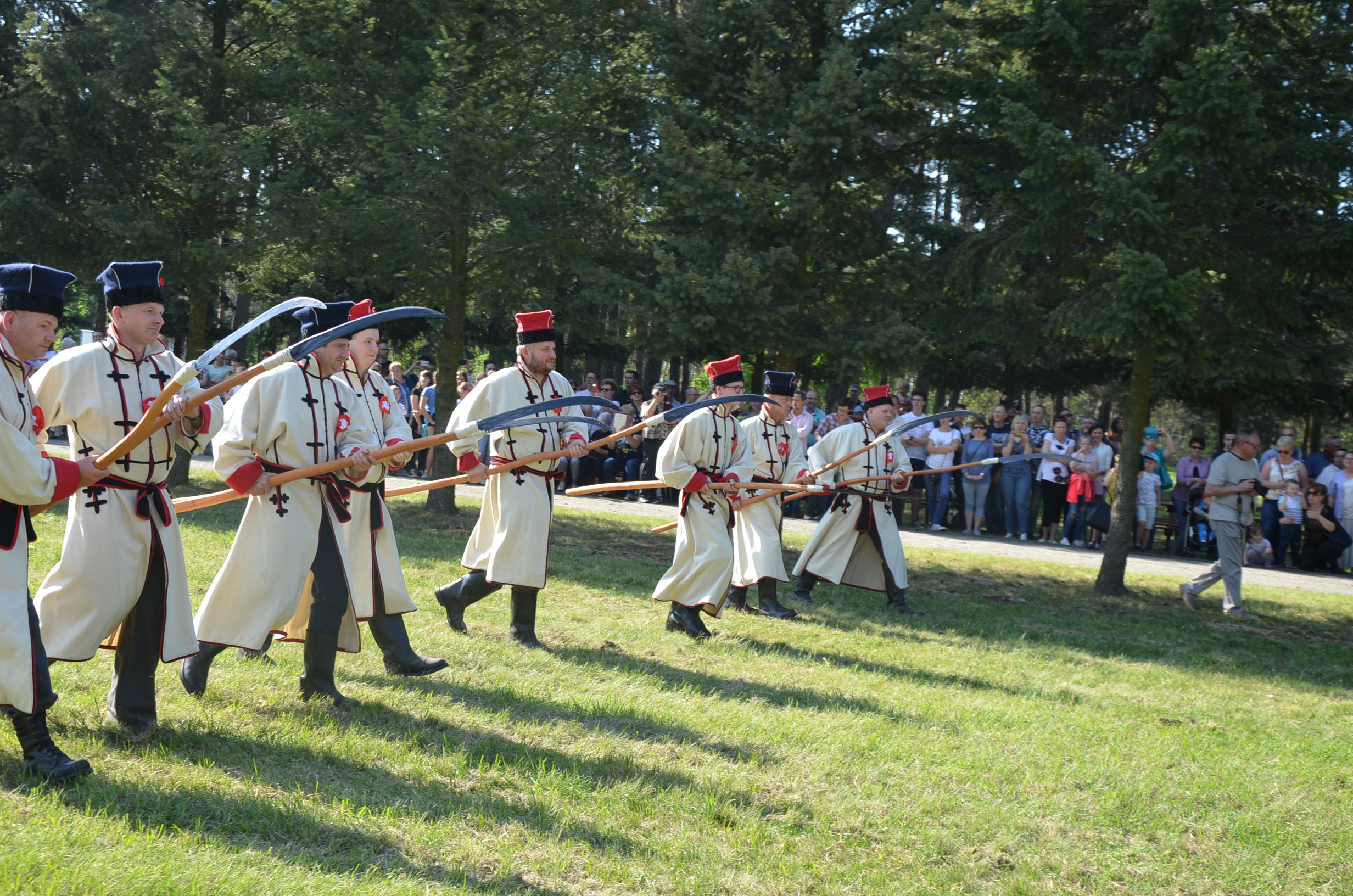 Zdjęcie przedstawia grupę kosynierów