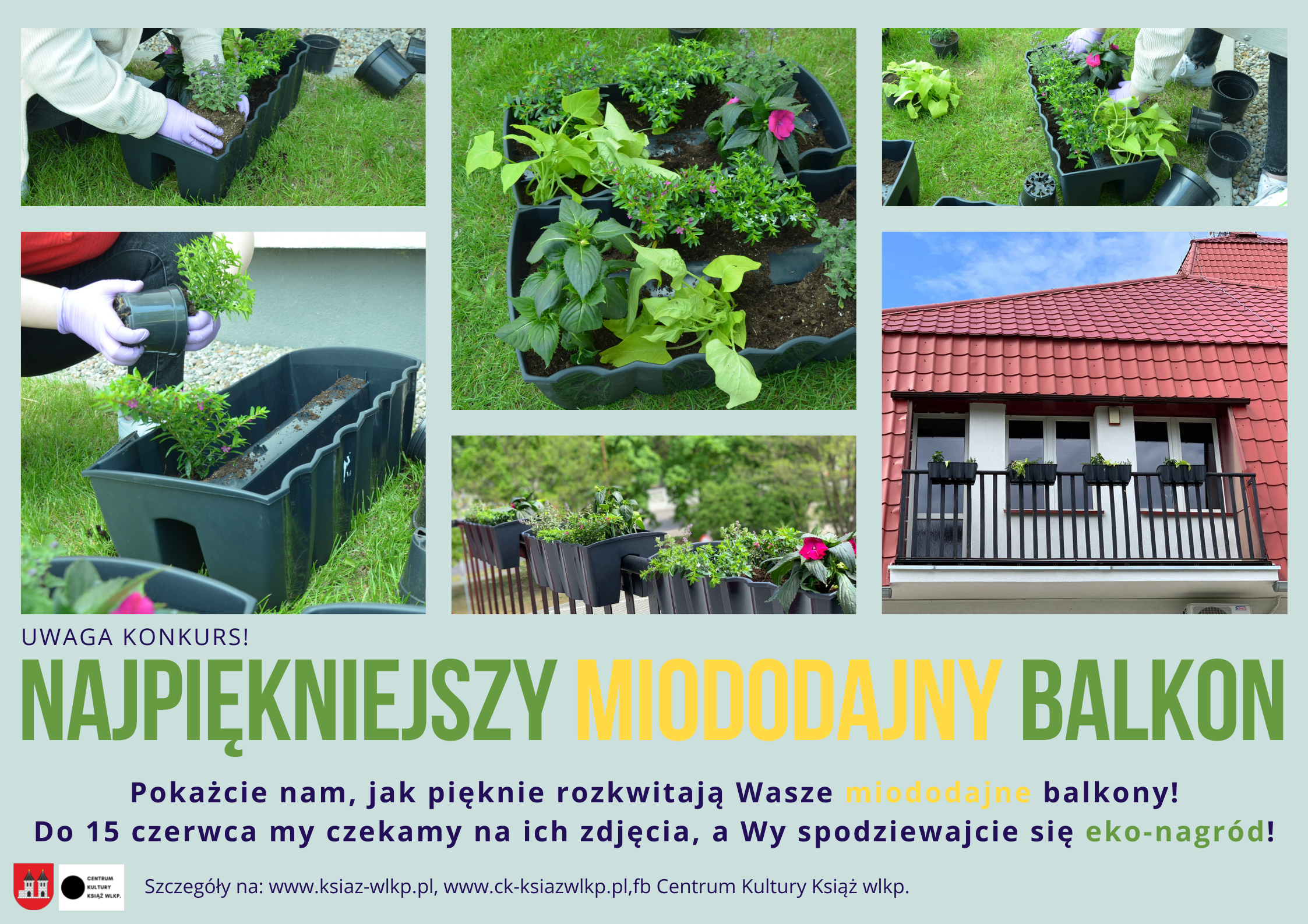 Na obrazku znajduje się balkon w siedzibie Centrum Kultury oraz rośliny w doniczkach