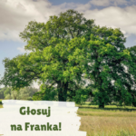 Głosuj na Franka!