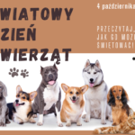 Wszystkie zwierzaki nasze są…