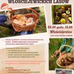Wybierz się na grzyby do... Włościejewic!