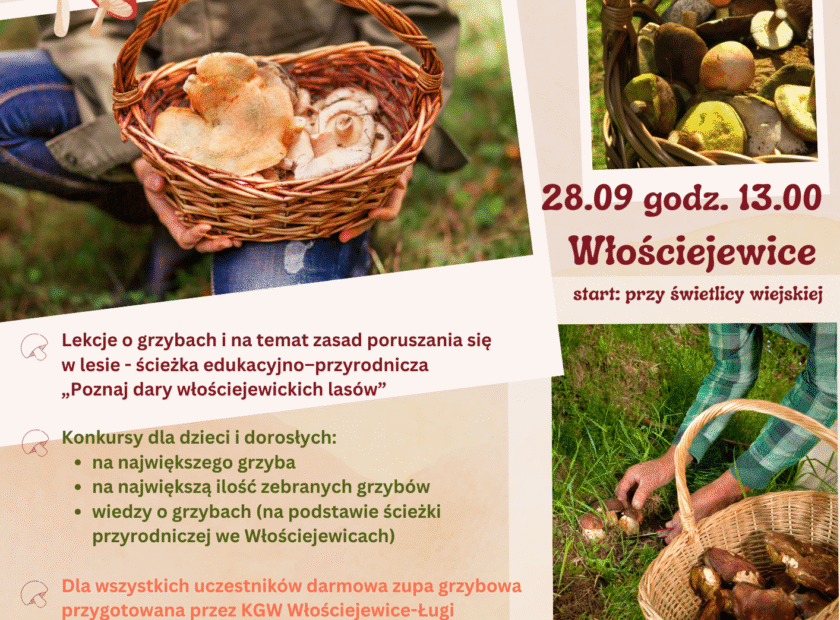 grzybobranie 2025