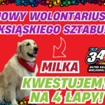 Kwestujemy na 4 łapy!