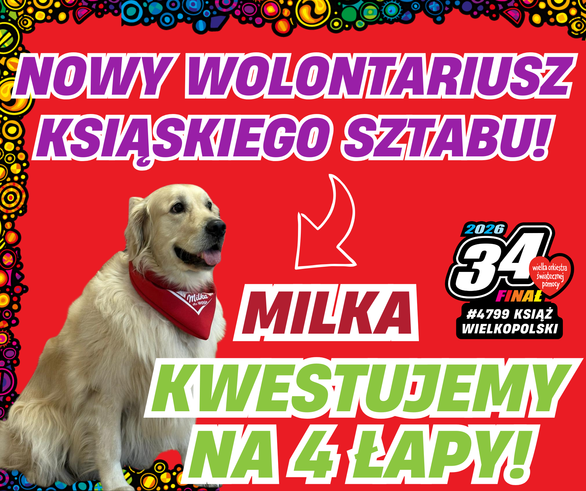 Kwestujemy na 4 łapy!