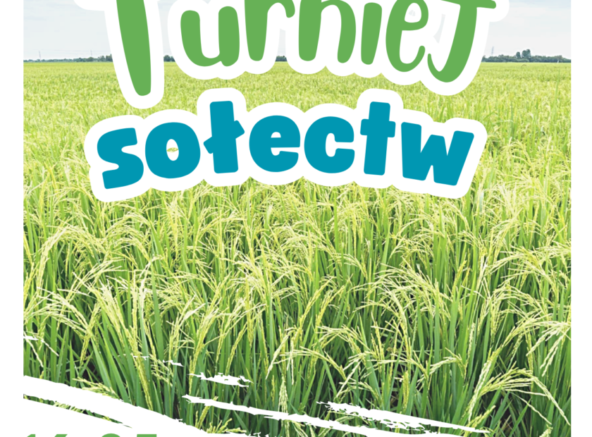 Turniej Sołectw 2026