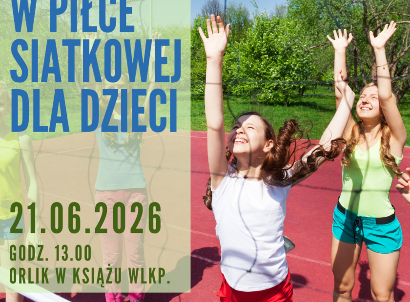 siatkówka dzieci plakat