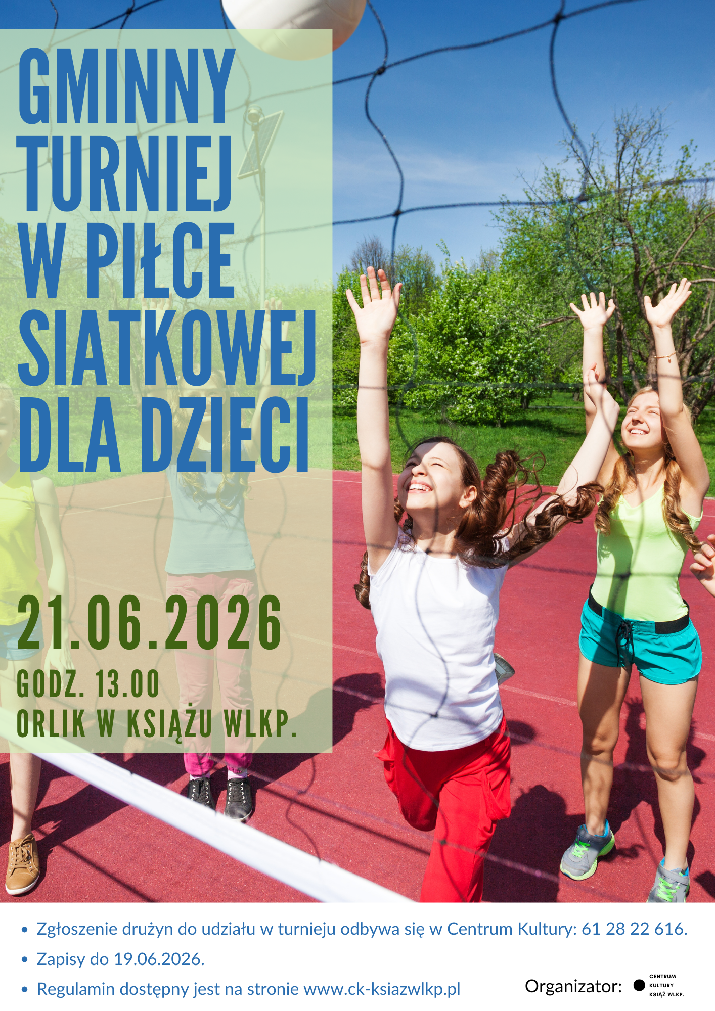 siatkówka dzieci plakat