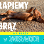 Łapiemy brąz na Jarach!
