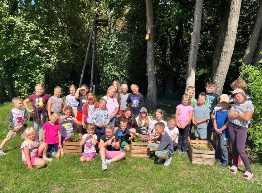 2026.07.27 mini łąka kwietna ZIELONA BANDA (11)