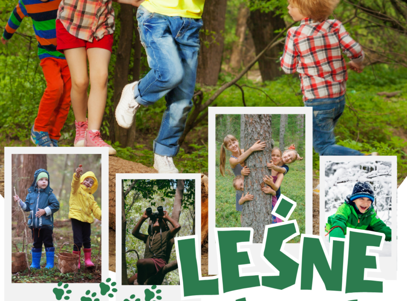 oferta jesienna 2026 plakaty dodatkowe (1)